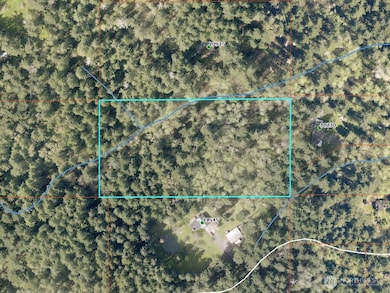 120 XX SW 208th St, Vashon, WA 98070 - photo 6