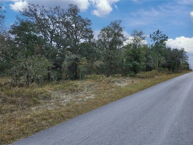 1281 SW Viburnum Rd, Dunnellon, FL 34431 - photo 4