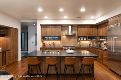 233 E Cooper Ave unit 104, Aspen, CO 81611 - photo 5