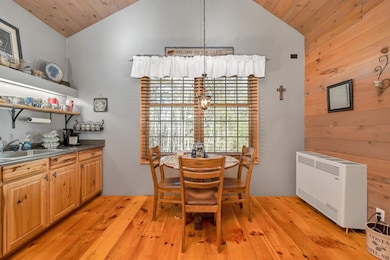 1 Sugar Loaf Dr, Center Ossipee, NH 03814 - photo 4