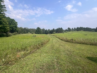 V/L S Dow Rd, West Branch, MI 48661 - photo 6