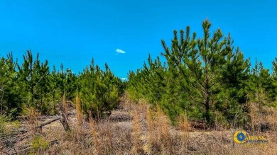 0 Old Cc Rd, Cassatt, SC 29032 - photo 5