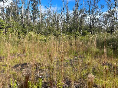 0 Ohialani Rd unit 723524, Volcano, HI 96785 - photo 2