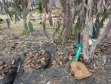 8083 Skyway, Paradise, CA 95969 - photo 5