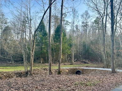 Lot 4 Radford Rd, East Bernstadt, KY 40729 - photo 7