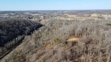 DJI_0993