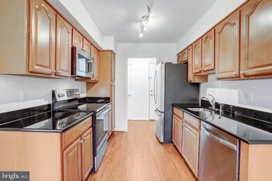 3330 Spring Ln unit D34, Baileys Crossroads, VA 22041 - photo 2