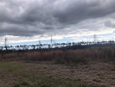 3 Crawfordville Hwy, Crawfordville, FL 32327 - photo 2