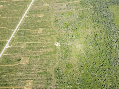 19597 NW Doug Price Rd, Blountstown, FL 32424 - photo 3