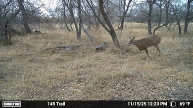 12120 Hwy 59, Sedgwick, CO 80749 - photo 7