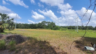 4161 Old Bartow Eagle Lake Rd, Bartow, FL 33830 - photo 2