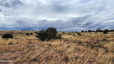 8381 W Shingle Oak Ln, Williams, AZ 86046 - photo 3