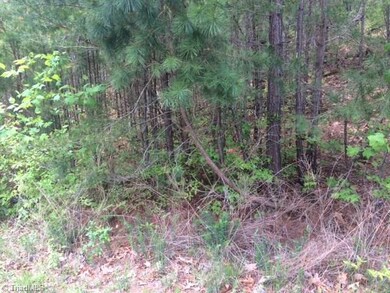 0 Northmont Lake Dr unit 64 885266, Asheboro, NC 27205 - photo 4