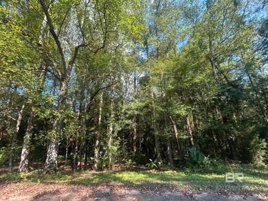 View of local wilderness