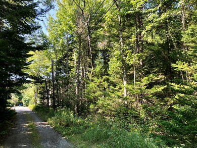 View down Wetlands Way to Jordan Pond Rd