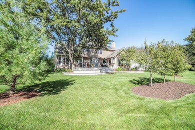 Yard/Garden