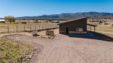 147 Apple Ct, Pagosa Springs, CO 81147 - photo 3