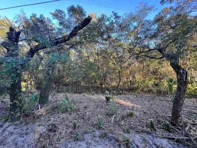 TBD Otter Lake Rd, Panacea, FL 32346 - photo 4