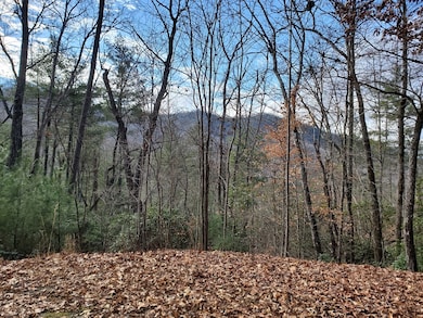 Winter Views, Open up more with clearing