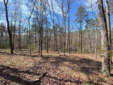 144 Old Ridge Rd, Pangburn, AR 72121 - photo 6