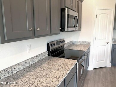 Granite counter tops and grey cabinets