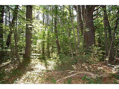 00 Elden Rd, Buxton, ME 04093 - photo 6