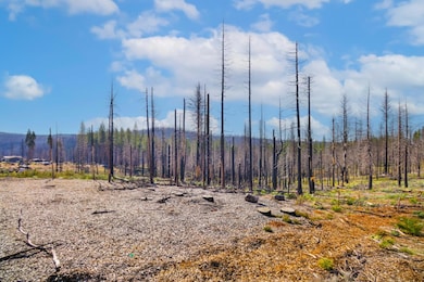 10020- Grizzly Flat Rd, Grizzly Flats, CA 95636 - photo 5