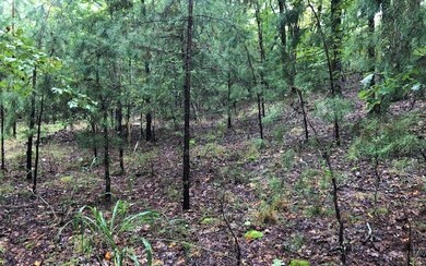 Additional View