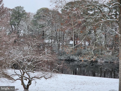 227 Canal Park Dr unit 206, Salisbury, MD 21804 - photo 3