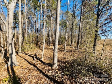 24 ac S Carolina 9, Wallace, SC 29596 - photo 2