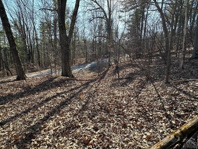 0 Buttermilk Falls Rd unit 156376, Catskill, NY 12414 - photo 4