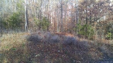 9.76 acres Mt Zion Church Rd, Alexis, NC 28006 - photo 4