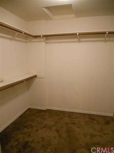 Master walk-in closet