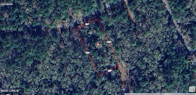 5 Barnaby Bluff, Seabrook, SC 29940 - photo 3