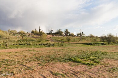20230206-IMG_6606