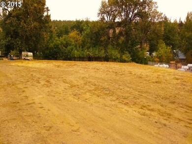 239 S Canyon City Rd E, Canyon City, OR 97820 - photo 4