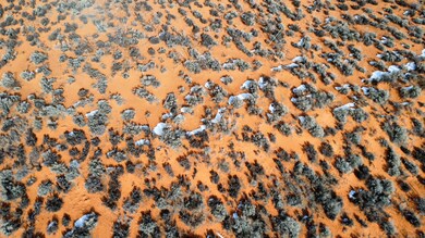 dji_fly_20240112_132724_54_1705091254005