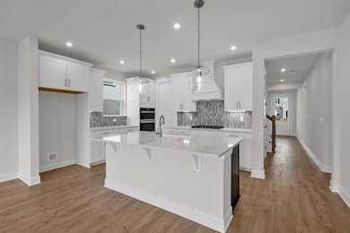 White and Navy cabinets!