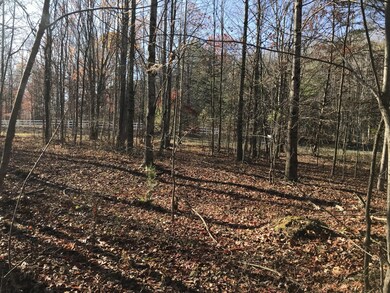 5 Hobbstown Rd, Dunlap, TN 37327 - photo 6