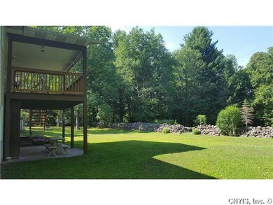 Backyard.