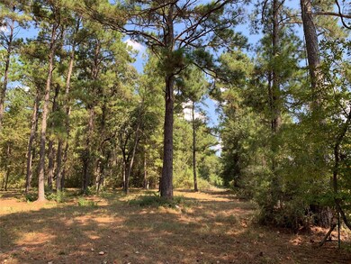 25692 Joseph Rd, Hockley, TX 77447 - photo 6