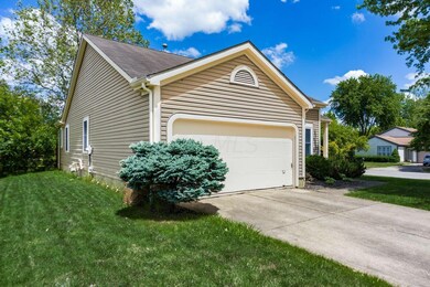Y_Walnutview_Ct-004