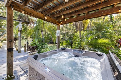 6110 Bear Trail, Weeki Wachee, FL 34607 - photo 3