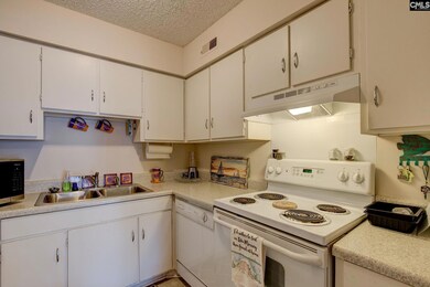 301 Harbor Heights Dr unit 15C, Lexington, SC 29072 - photo 7