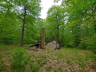 20190613_125928_HDR