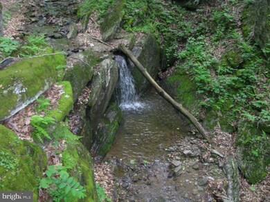 36 Elkhorn Sub Divide, Dorcas, WV 26847 - photo 3