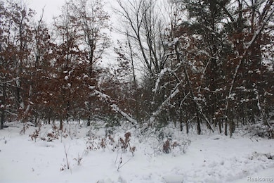 VL S Good Rd, Alger, MI 48610 - photo 7