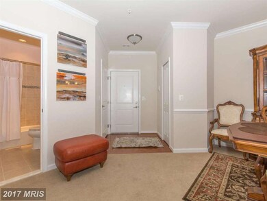 8490 Ice Crystal Dr unit R, Laurel, MD 20723 - photo 3