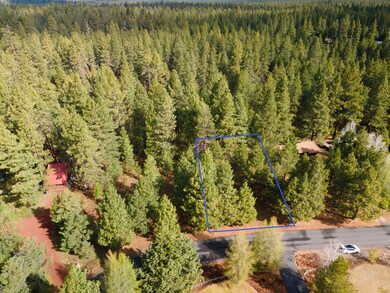 TPark_0500_051322-2
