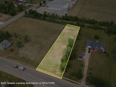 V/L W M21, Fowler, MI 48835 - photo 2